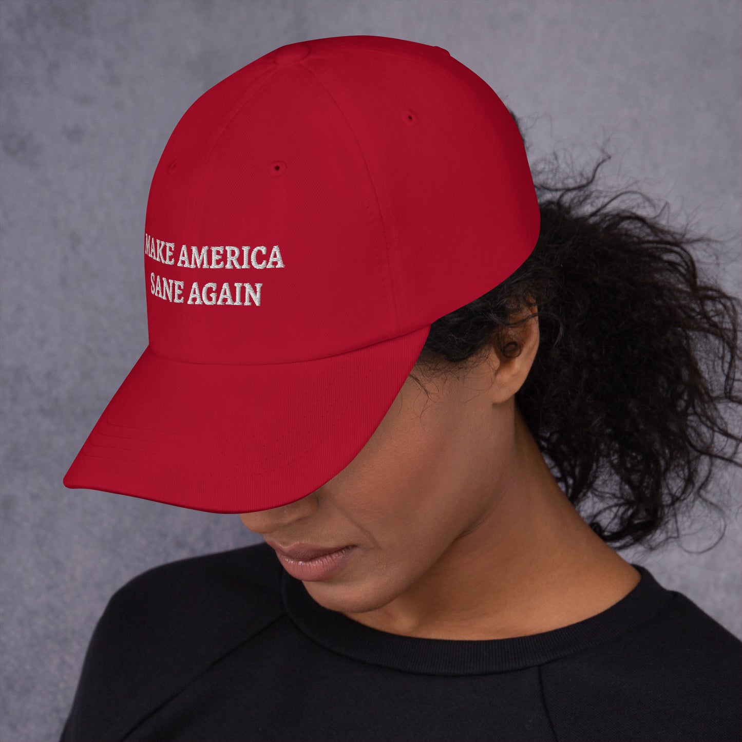 Make America Sane Again Dad hat