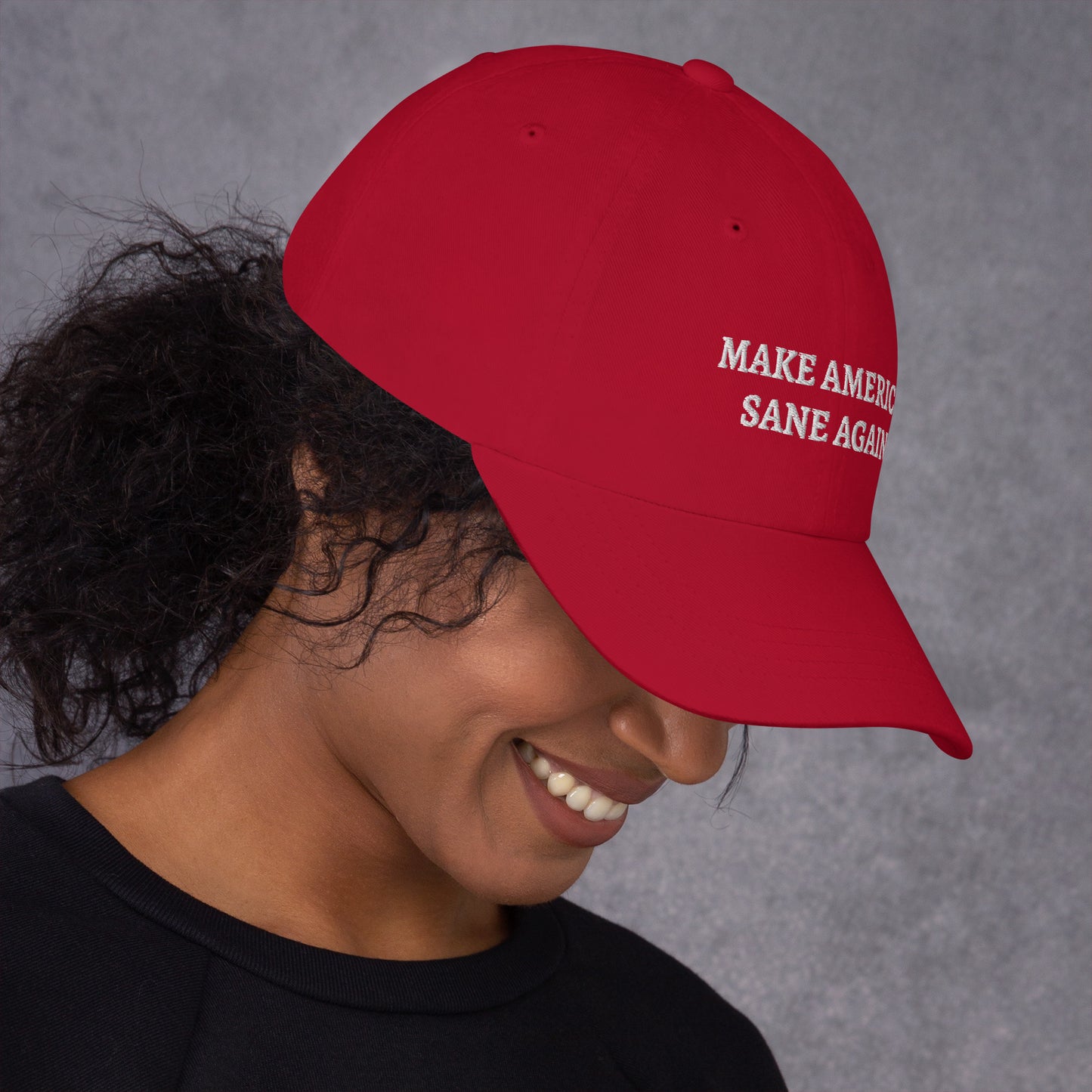 Make America Sane Again Dad hat