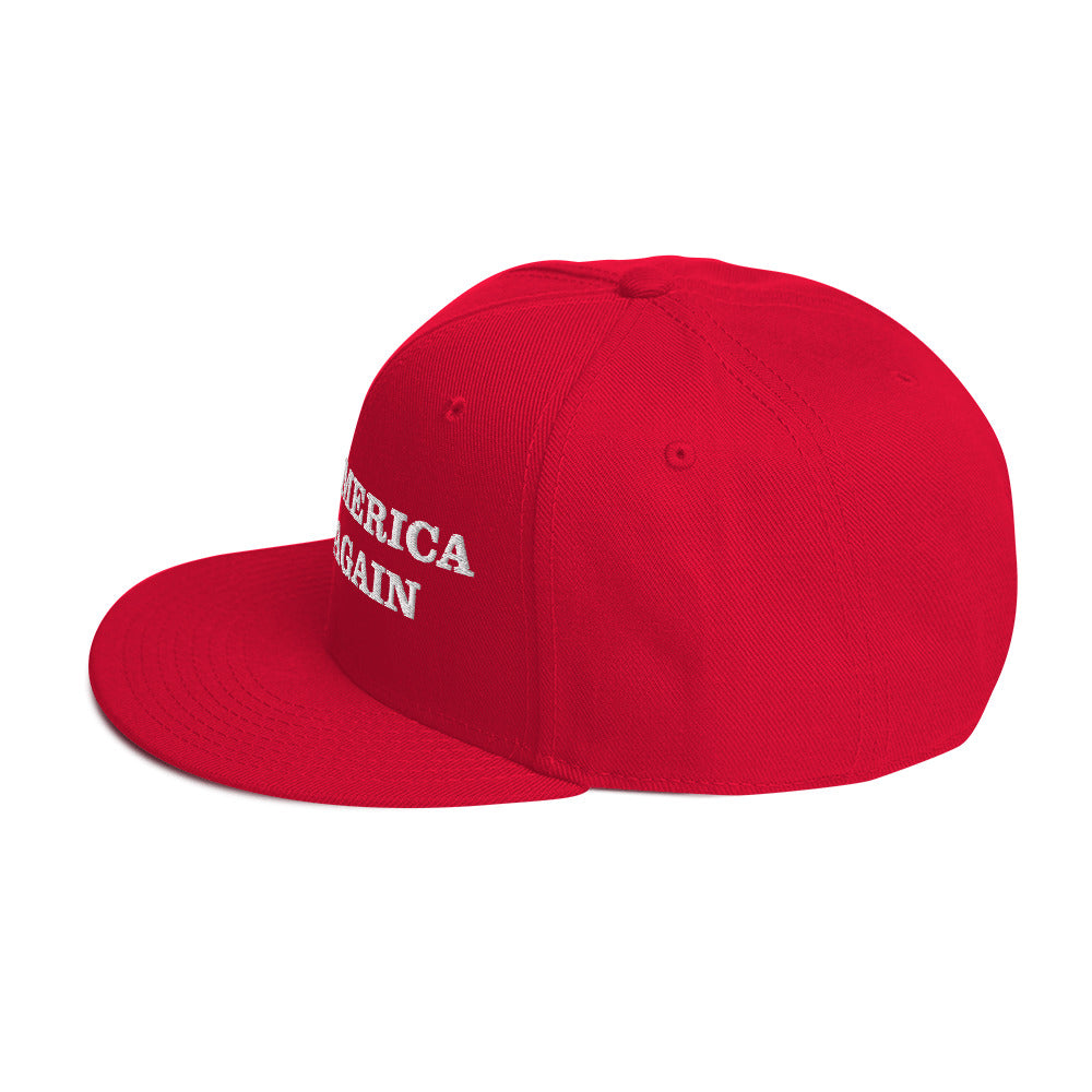 Make America Sane Again Snapback Hat